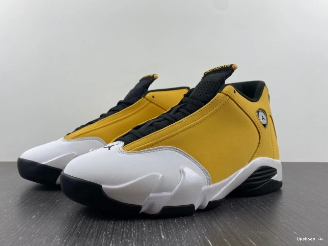487471-701 Jordan Ginger  Retro 14 Light 0426